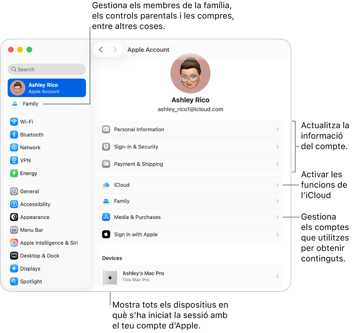 A la configuració del sistema, es veu la secció del compte d’Apple, amb opcions per actualitzar la informació del compte, activar o desactivar les funcions de l’iCloud o gestionar els comptes de contingut multimèdia, i la secció “En família”, amb opcions per configurar un grup familiar, establir controls parentals i administrar les compres, entre altres coses.