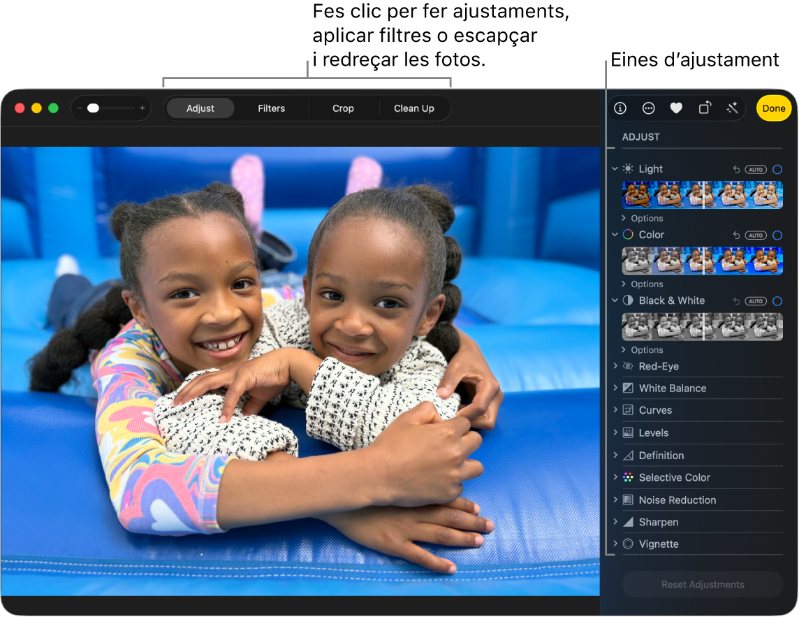 Una finestra de l’app Fotos que mostra una foto que s’està editant.