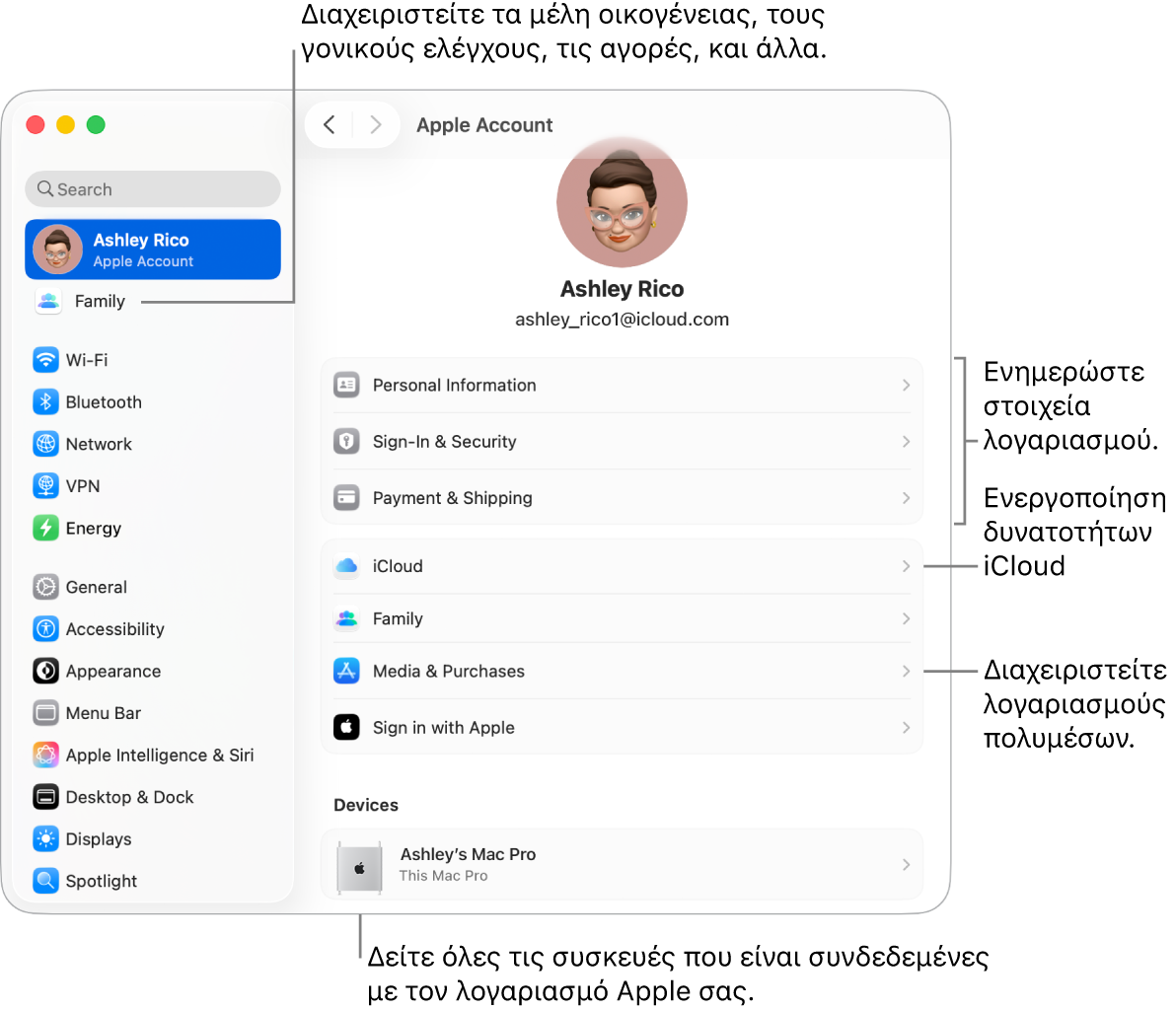 Οι ρυθμίσεις λογαριασμού Apple στις Ρυθμίσεις συστήματος με επεξηγήσεις για ενημέρωση των στοιχείων λογαριασμού, ενεργοποίηση ή απενεργοποίηση δυνατοτήτων iCloud, διαχείριση λογαριασμών πολυμέσων, και η Οικογένεια όπου μπορείτε να διαχειριστείτε τα μέλη οικογένειας, τον γονικό έλεγχο, τις αγορές και πολλά άλλα.