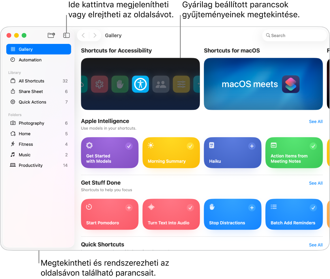 A Parancsok ablaka, amelynek bal oldalán az oldalsáv van megnyitva, jobb oldalán pedig a Galéria látható előre elkészített parancsok gyűjteményeivel.