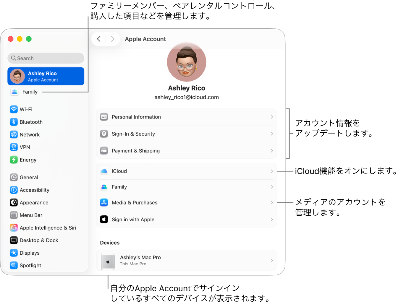 「システム設定」の「Apple Account」設定。アカウント情報のアップデート、iCloud機能のオン/オフ、メディアアカウントの管理と、ファミリーメンバー、ペアレンタルコントロール、購入などを管理できる「ファミリー」へのコールアウトがあります。