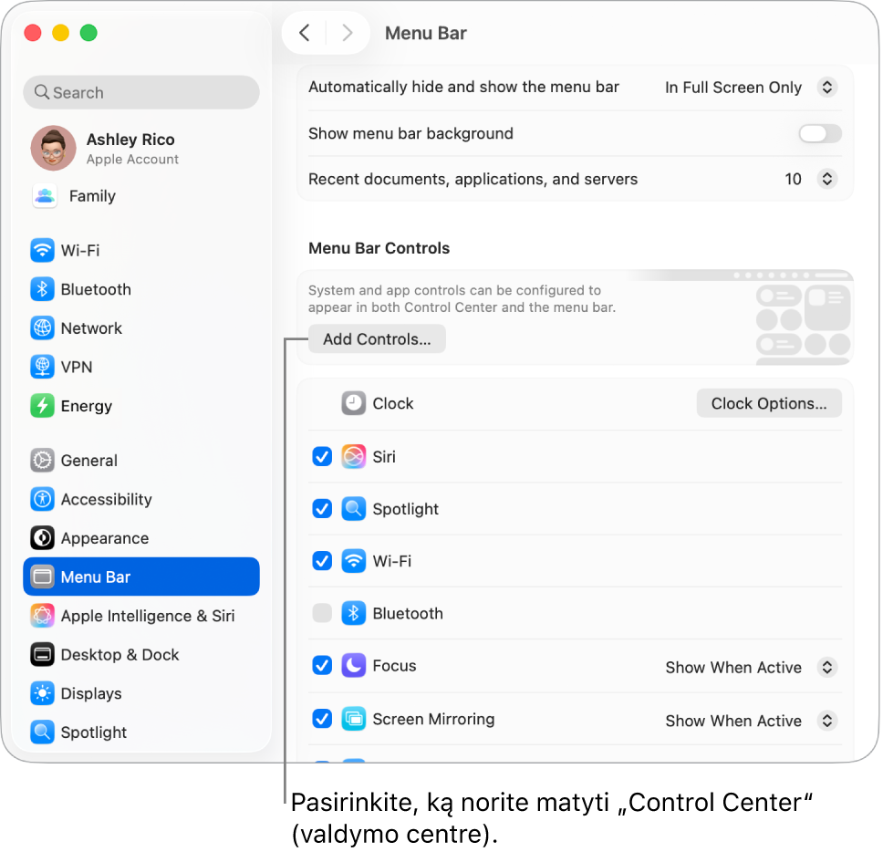 Skilties „Menu Bar“ (meniu juosta) nustatymų langas.