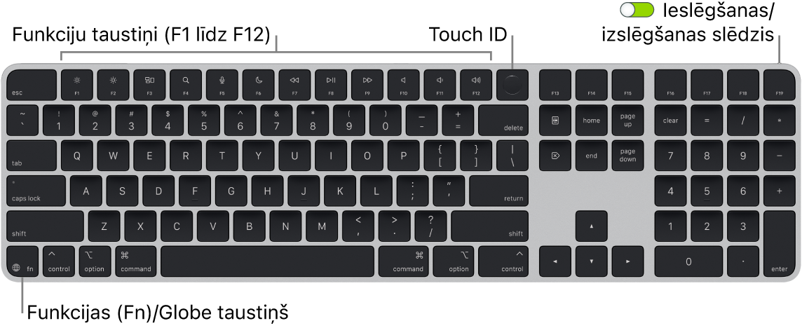 Tastatūra Magic Keyboard ar Touch ID un ciparu tastatūra, kam augšdaļā redzama funkciju taustiņu rinda un Touch ID, bet apakšā pa kreisi — taustiņš Function (Fn)/Globe.