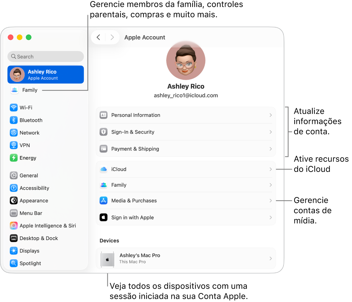 Ajustes da Conta Apple nos Ajustes do Sistema com chamadas para atualizar informações da conta, ativar ou desativar recursos do iCloud, gerenciar contas de mídia, e Família, onde você pode gerenciar membros da família, controles parentais, compras e outros.