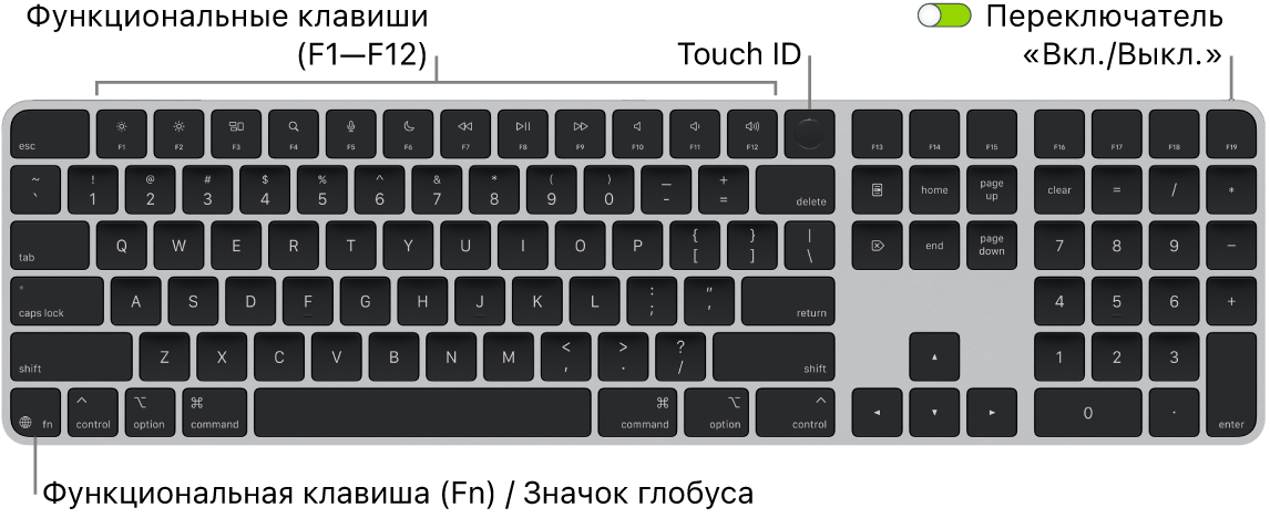 Клавиатура Magic Keyboard с сенсором Touch ID и цифровой клавишной панелью. Показаны функциональные клавиши, сенсор Touch ID вверху и клавиша Function (Fn)/клавиша с изображением глобуса внизу слева.