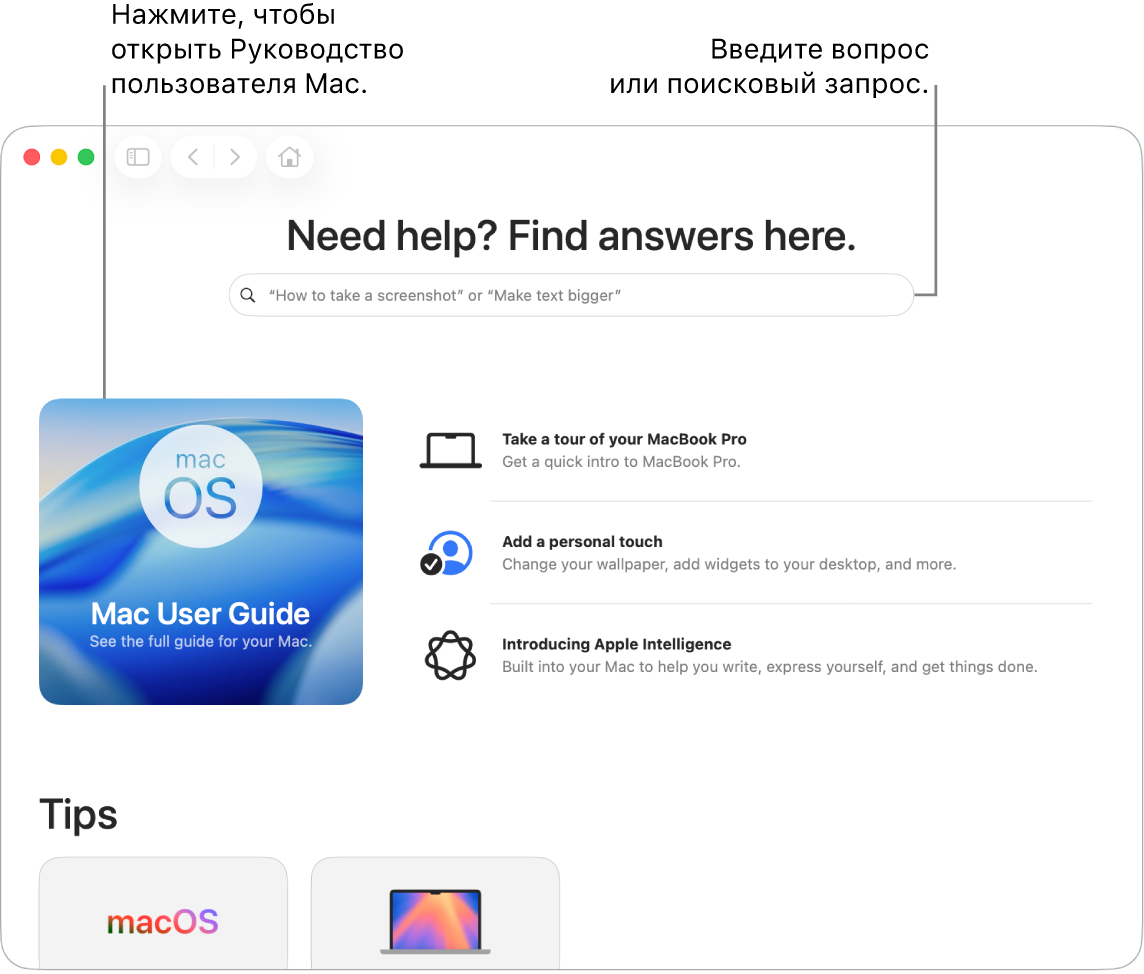 На главном экране приложения «Советы» показаны Руководство пользователя Mac, поле поиска и предлагаемые темы.