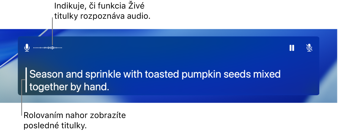 Titulky v reálnom čase.