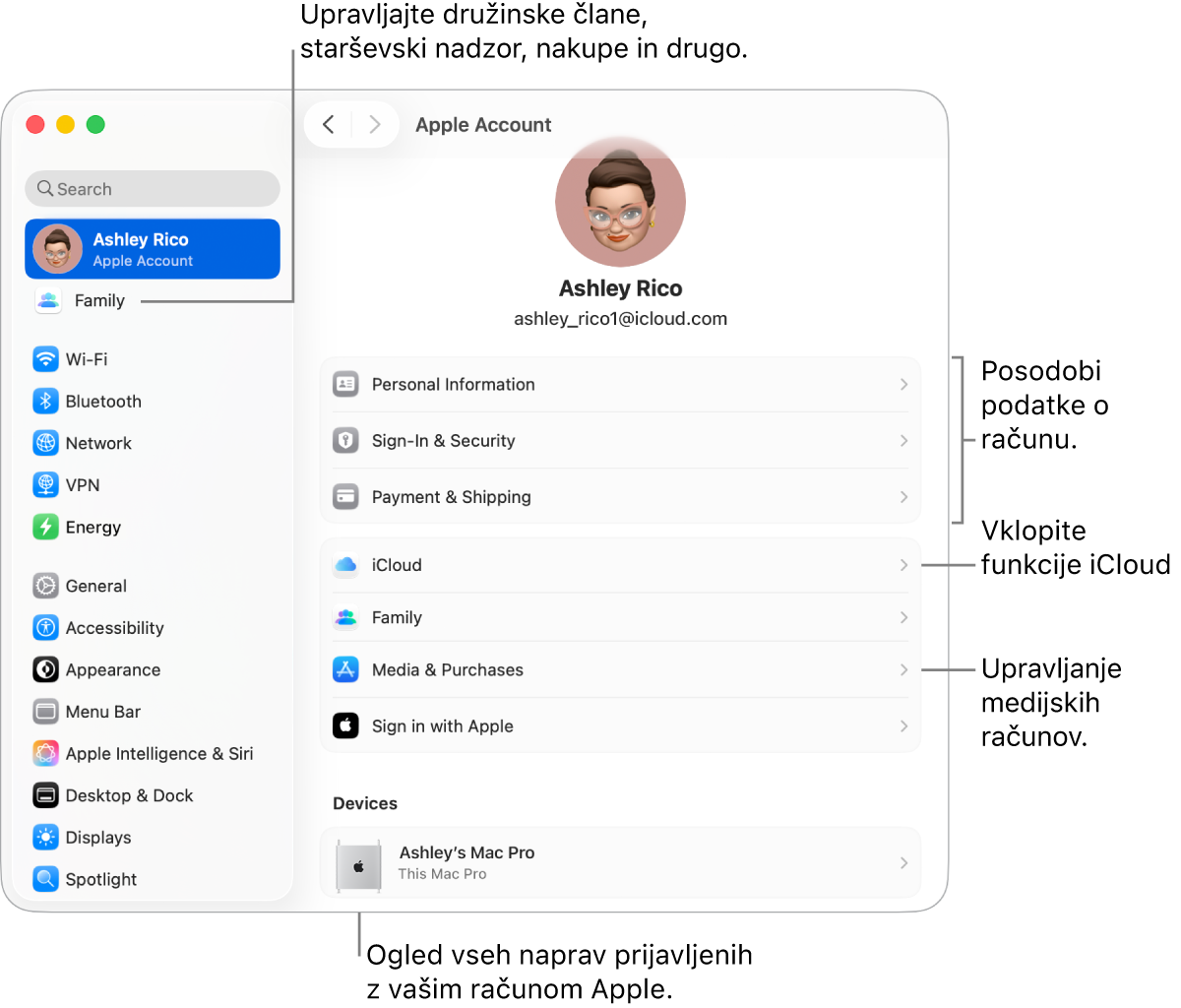 Nastavitve računa Apple v Nastavitvah sistema z oblački za posodobitev informacij o računu, vklop ali izklop funkcij iCloud, upravljanje predstavnostnih računov in Družina, kjer lahko upravljate družinske člane, starševski nadzor, nakupe in več.