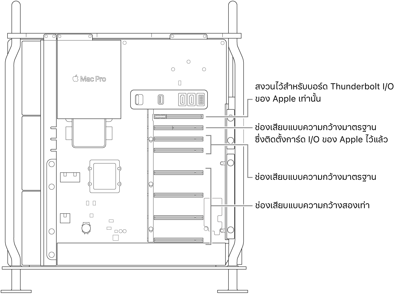 ด้านข้างของ Mac Pro ที่เปิดออกโดยมีตัวชี้บรรยายแสดงให้เห็นตำแหน่งของช่องเสียบแบบความกว้างสองเท่าสี่ช่อง ช่องเสียบแบบความกว้างมาตรฐานสองช่อง ช่องเสียบแบบความกว้างมาตรฐานสำหรับการ์ด Apple I/O และช่องเสียบสำหรับบอร์ด Thunderbolt I/O