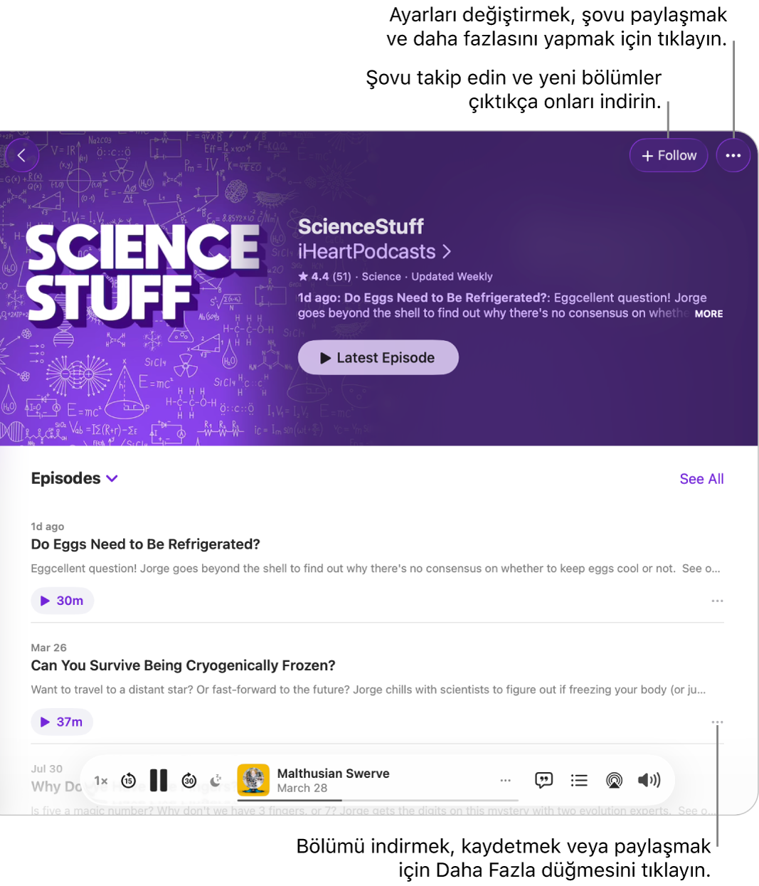Bir podcast’teki bölümlerin listesini gösteren Podcast’ler penceresi. Pencerenin en üstündeki Takip Et düğmesi şovu takip etmenizi, her bölümün yanındaki Daha Fazla düğmesi ise bölümü indirmenizi veya kaydetmenizi sağlar.