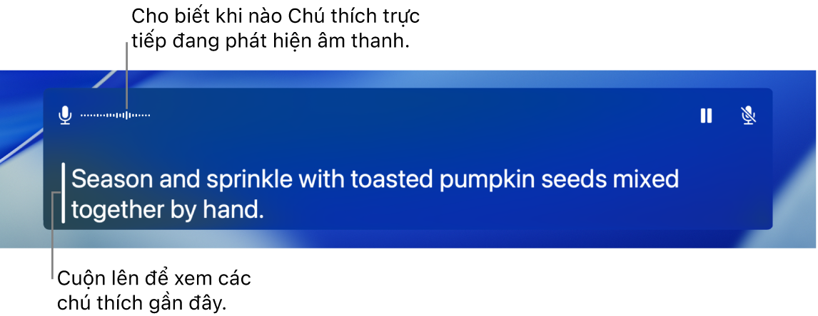 Chú thích trong thời gian thực cho âm thanh.