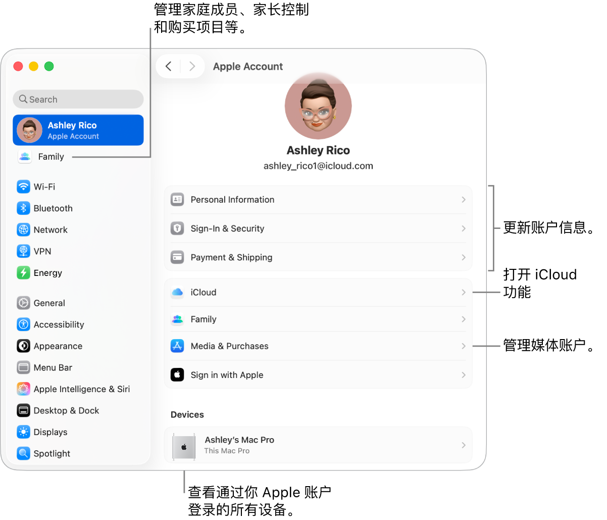 “系统设置”中的“Apple 账户”设置,包含更新账户信息、打开或关闭 iCloud 功能、管理媒体账户和“家人共享”(可在其中管理家庭成员、家长控制和购买项目等)的标注框。