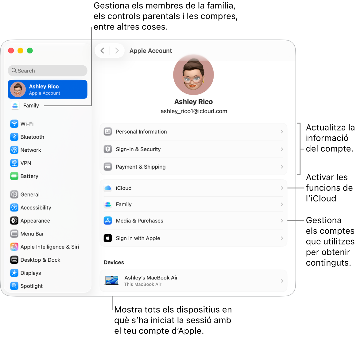A la configuració del sistema, es veu la secció del compte d’Apple, amb opcions per actualitzar la informació del compte, activar o desactivar les funcions de l’iCloud o gestionar els comptes de contingut multimèdia, i la secció “En família”, amb opcions per configurar un grup familiar, establir controls parentals i administrar les compres, entre altres coses.