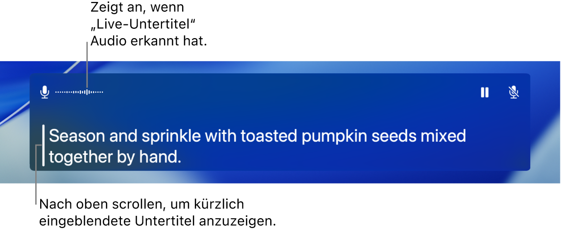 Echtzeit-Untertitel für Audio.