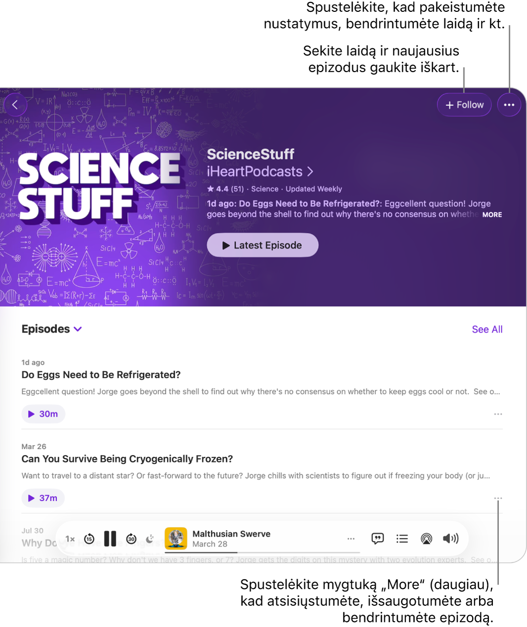 Programos „Podcasts“ (tinklalaidės) langas, kuriame rodomas tinklalaidės epizodų sąrašas. Mygtukas „Follow“ (sekti), esantis lango viršuje, leidžia sekti laidą, o mygtukas „More“ (daugiau), esantis šalia kiekvieno epizodo, leidžia atsisiųsti arba išsaugoti epizodą.