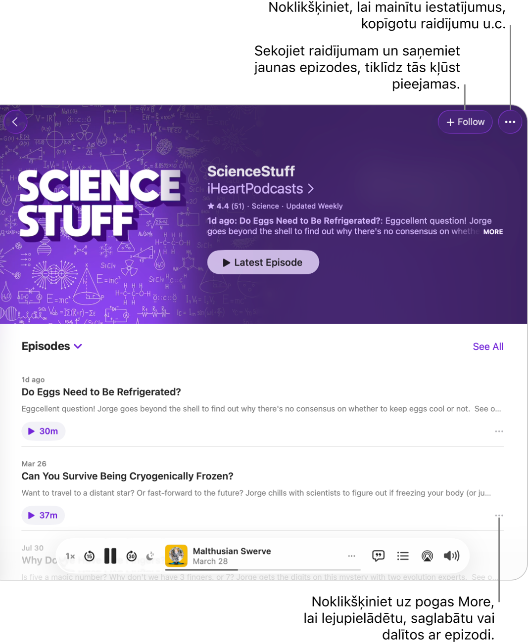 Logs Podcasts ar sēriju sarakstu raidierakstā. Poga Follow loga augšpusē ļauj sekot raidījumam, bet poga More blakus katrai sērijai ļauj lejupielādēs vai saglabāt sēriju.