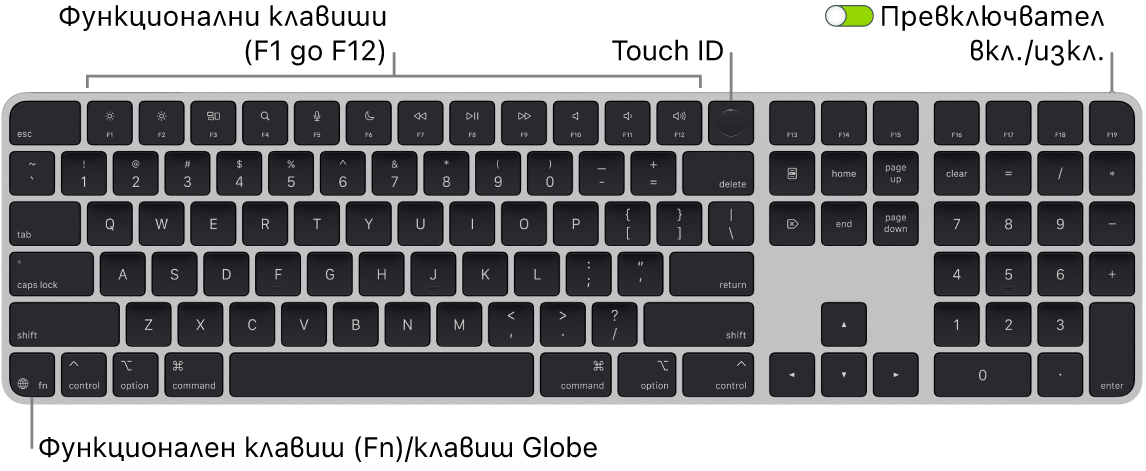 Клавиатурата Magic Keyboard с Touch ID и Numeric Keypad (Клавиатура с цифри), която показва редицата с функционални клавиши и Touch ID в горния край и клавиша Function (Fn)/Globe най-долу вляво.