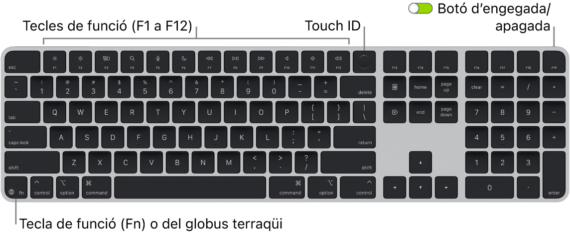 Un Magic Keyboard amb Touch ID i teclat numèric, en què es veu la filera de tecles de funció amb el Touch ID a la part superior i la tecla de funció (Fn)/Globus terraqüi a la part inferior esquerra.