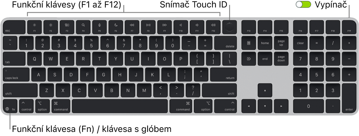 Klávesnice Magic Keyboard s Touch ID a numerickou klávesnicí, na které je vidět řada funkčních kláves a snímač Touch ID u horního okraje a funkční klávesa Fn / klávesa s glóbem vlevo dole.