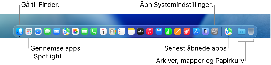 Et billede af Dock med Finder, Systemindstillinger og skillelinjen i Dock, der adskiller apps fra arkiver og mapper.
