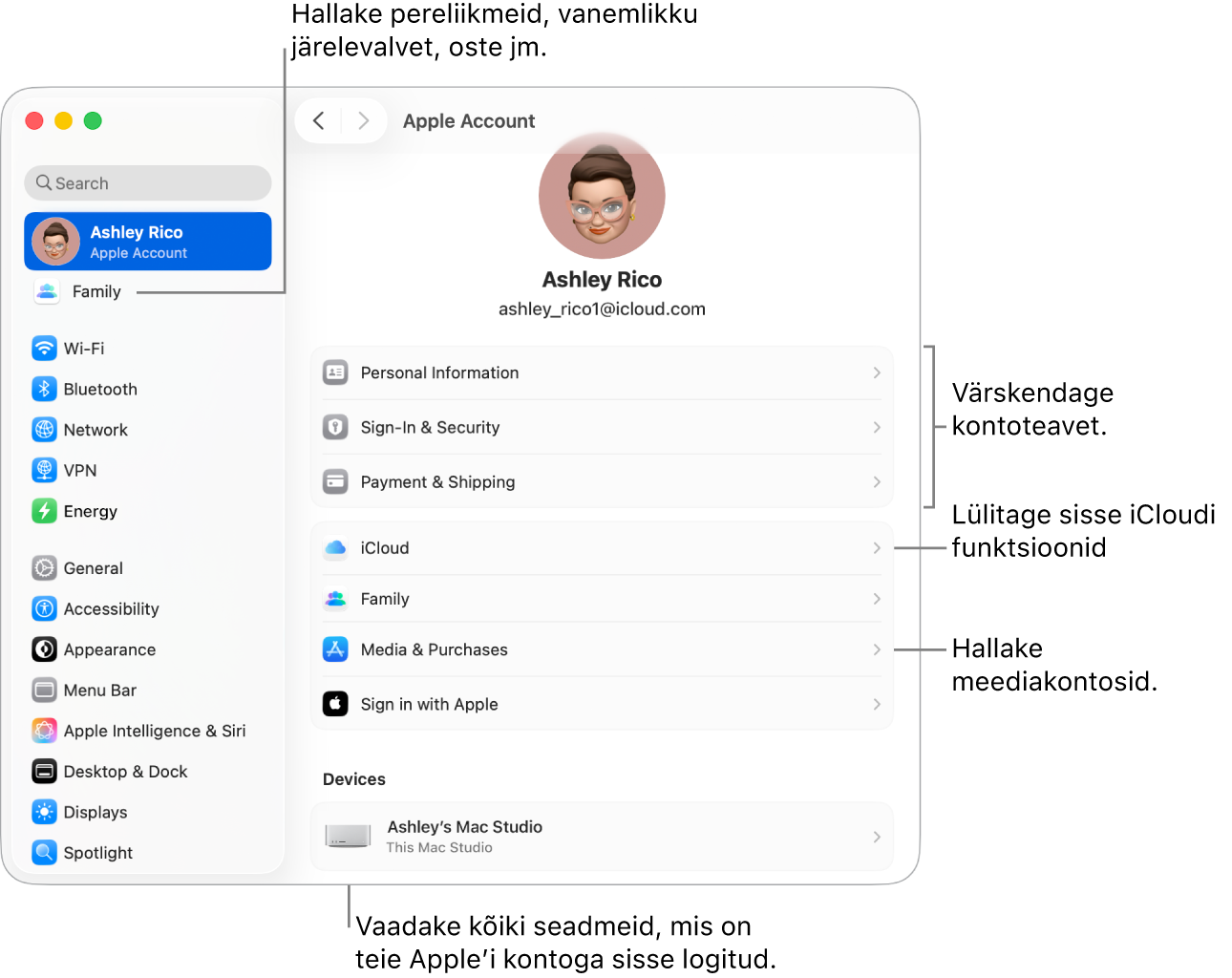 Apple’i konto seaded jaotises System Settings väljaviikudega kontoinfo värskendamiseks, iCloudi funktsioonide sisse või välja lülitamiseks, meediakontode haldamiseks ning jaotis Family, kust saate hallata pereliikmeid, vanemlikku järelevalvet, oste jm.