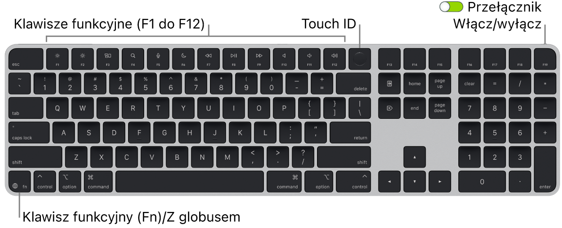 Klawiatura Magic Keyboard z Touch ID oraz klawiaturą numeryczną. Na górze znajduje się rząd klawiszy funkcyjnych oraz czytnik Touch ID, natomiast w lewym dolnym rogu widoczny jest klawisz funkcji (Fn)/klawisz globu.