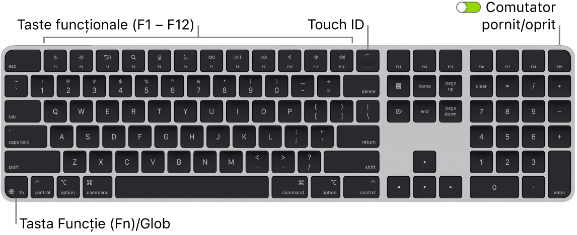 Tastatura Magic Keyboard cu Touch ID și tastatură numerică afișând rândul de taste funcționale și senzorul Touch ID în partea de sus, precum și tasta Funcție (Fn)/Glob în partea din stânga jos.