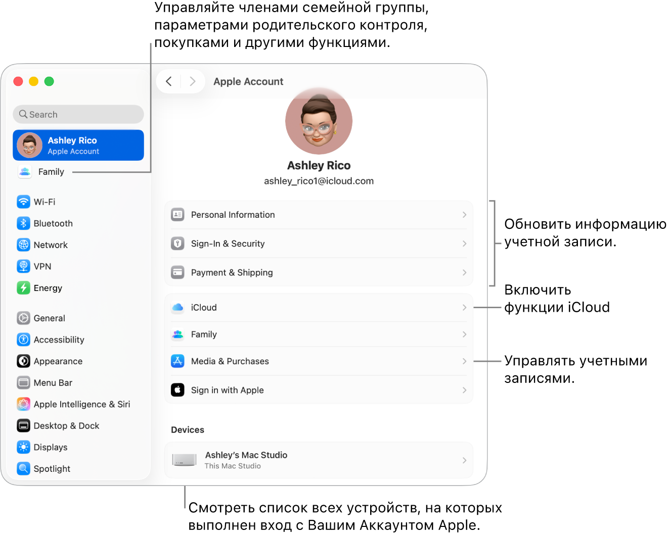 Настройки Аккаунта Apple в Системных настройках. Сносками показаны параметры обновления сведений учетной записи, включения или выключения функций iCloud и управления настройками учетных записей для мультимедиа. В настройках Семейного доступа показаны параметры управления устройствами членов семьи, родительским контролем, покупками и многим другим.