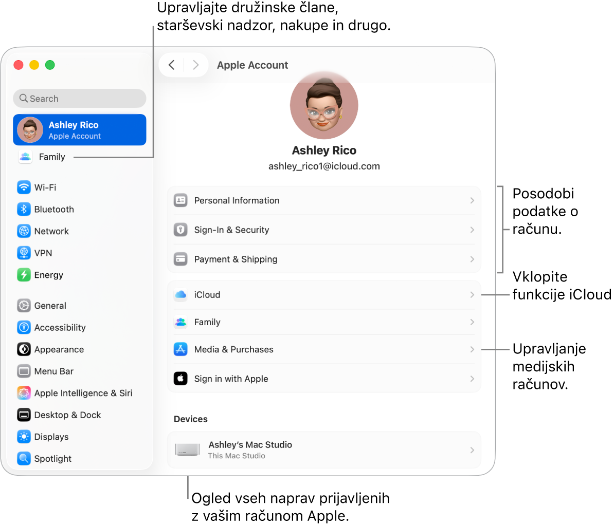 Nastavitve računa Apple v Nastavitvah sistema z oblački za posodobitev informacij o računu, vklop ali izklop funkcij iCloud, upravljanje predstavnostnih računov in Družina, kjer lahko upravljate družinske člane, starševski nadzor, nakupe in več.