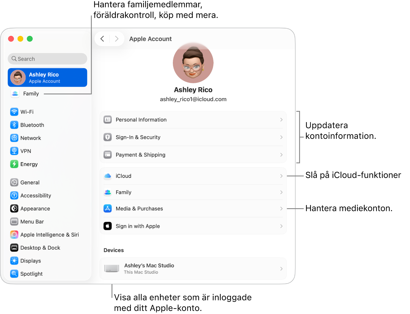 Apple‑kontoinställningarna i Systeminställningar med streck som pekar mot alternativ för att uppdatera kontoinformation, slå på eller stänga av iCloud-funktioner, hantera mediekonton och Familj där du kan hantera familjemedlemmar, föräldrakontroller, köp med mera.