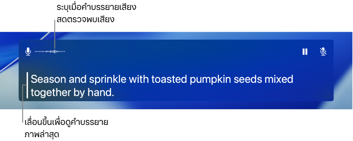 คำบรรยายแบบเรียลไทม์สำหรับเสียง