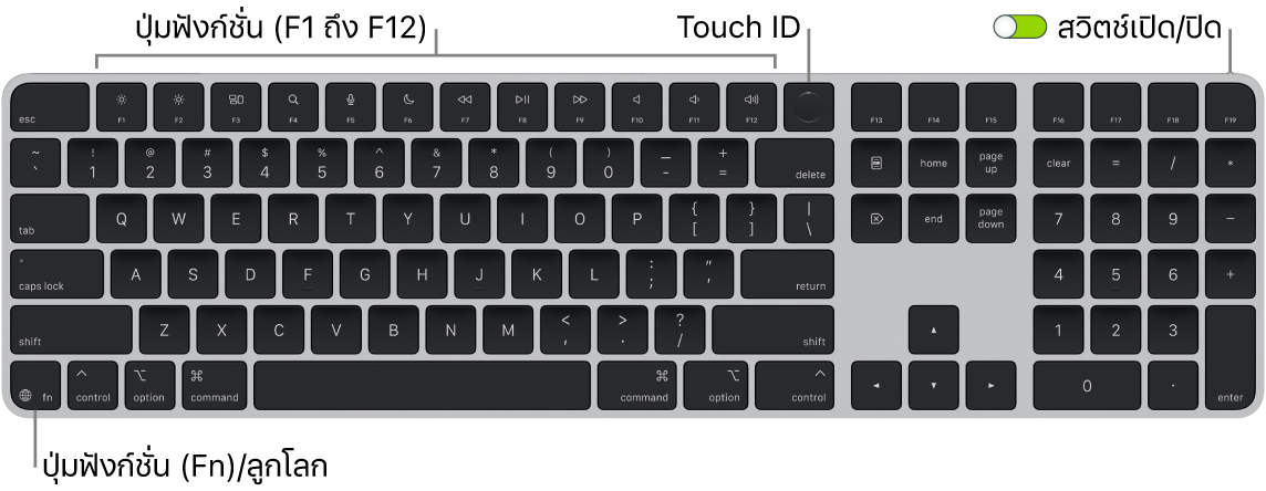 Magic Keyboard พร้อม Touch ID และปุ่มตัวเลขที่แสดงแถวของปุ่มฟังก์ชั่นและ Touch ID ตลอดแนวด้านบนสุด และปุ่มฟังก์ชั่น (Fn)/ลูกโลกที่ด้านซ้ายล่างสุด