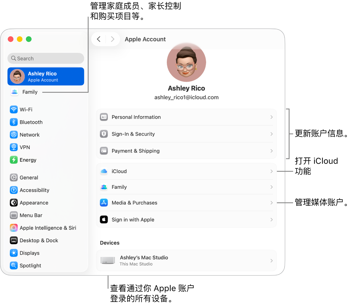 “系统设置”中的“Apple 账户”设置，包含更新账户信息、打开或关闭 iCloud 功能、管理媒体账户和“家人共享”（可在其中管理家庭成员、家长控制和购买项目等）的标注框。