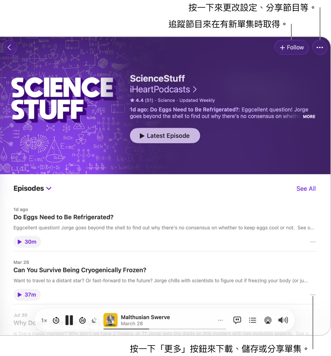 顯示 Podcast 中單集列表的 Podcast 視窗。視窗頂端的「追蹤」按鈕可讓你追蹤節目,每個單集旁的「更多」按鈕可讓你下載或儲存單集。