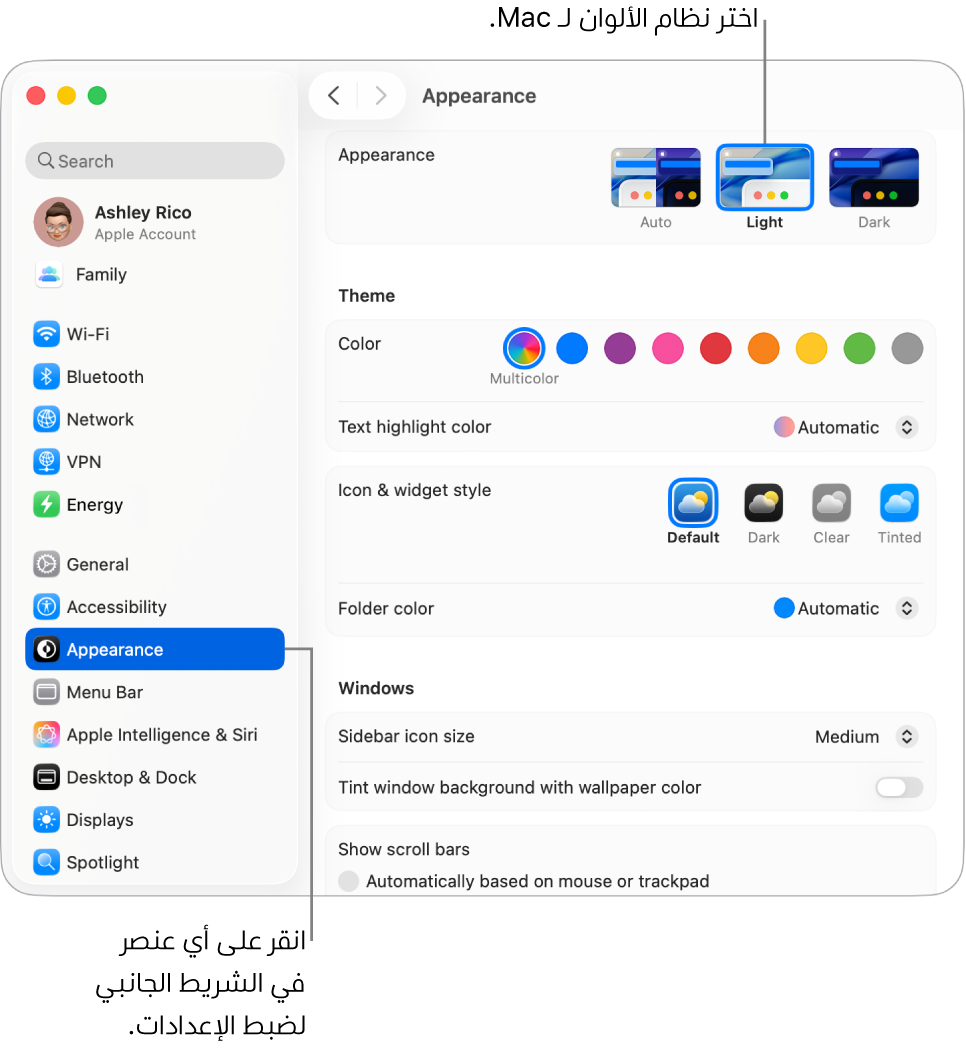 نافذة المظهر في إعدادات النظام.