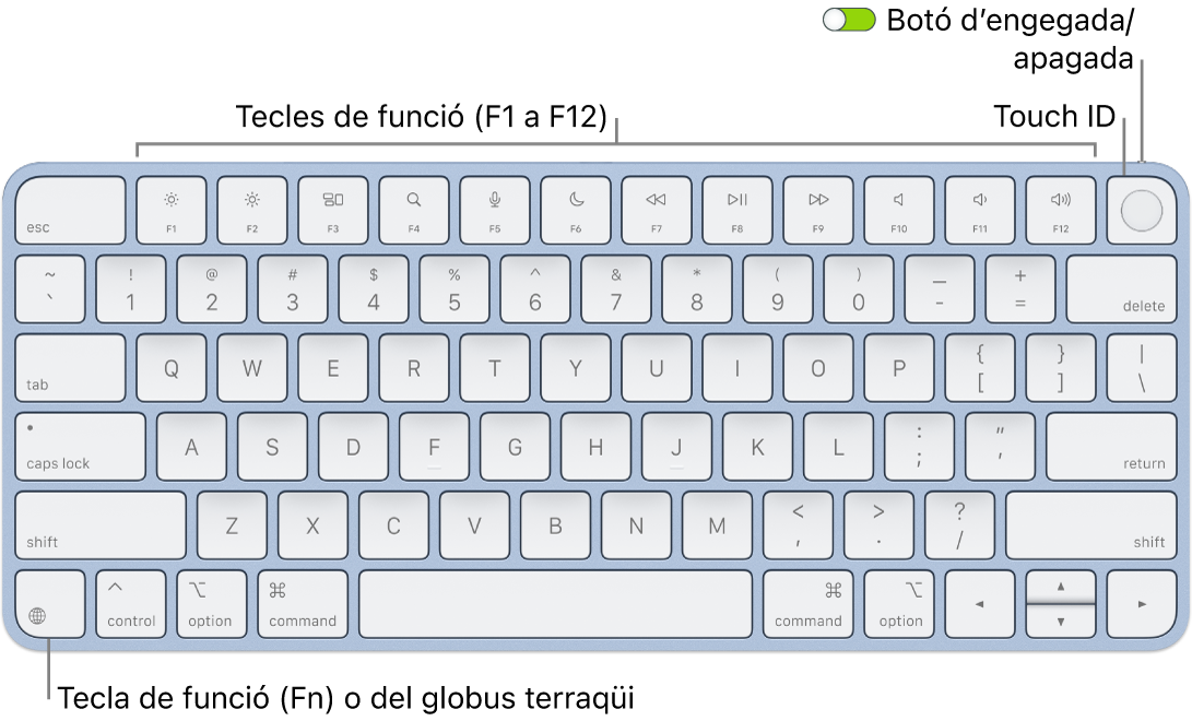 Magic Keyboard amb Touch ID en què es veu la filera de tecles de funció amb el Touch ID a la part superior i la tecla Funció (Fn) o del globus terraqüi a l’angle inferior esquerre.