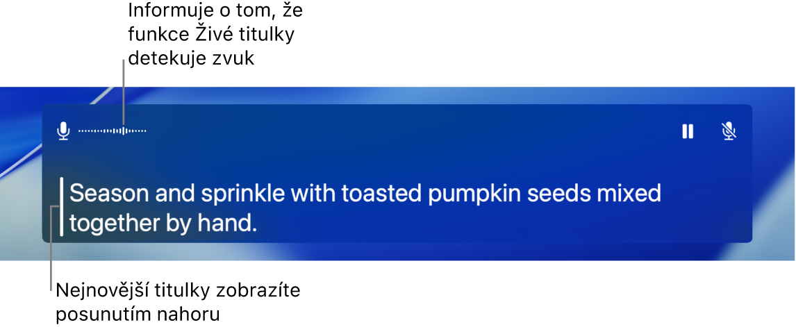 Titulky v reálném čase.