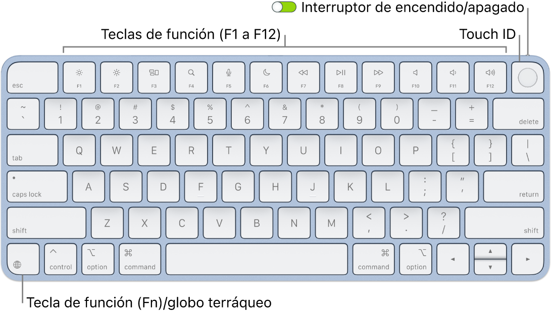 El Magic Keyboard con Touch ID mostrando la fila de teclas de función con el sensor Touch ID en la parte superior y la tecla de función (Fn)/globo terráqueo en la esquina inferior izquierda.