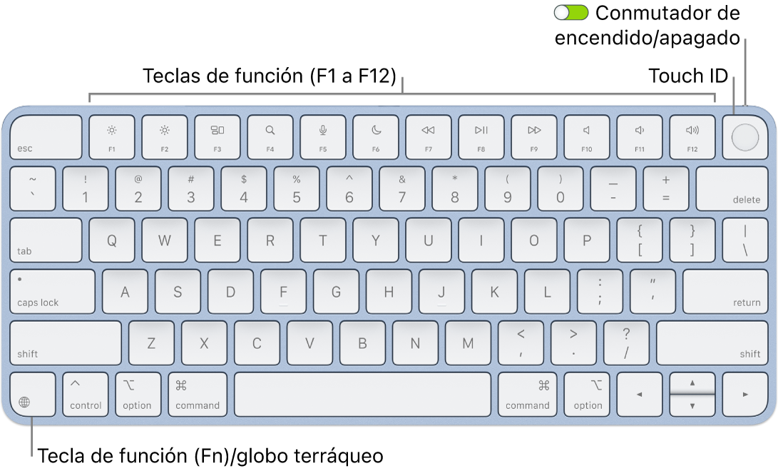 Magic Keyboard con Touch ID, con la fila de teclas de función y Touch ID en la parte superior, y la tecla del globo terráqueo o función (Fn) en la esquina inferior izquierda.