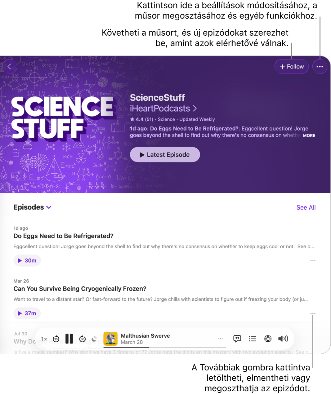 Egy Podcastok-ablak, amely egy podcast epizódjainak listáját jeleníti meg. Az ablak tetején található Követés gombbal követheti a műsort, az egyes epizódok melletti Továbbiak gombbal pedig letöltheti vagy mentheti az epizódot.
