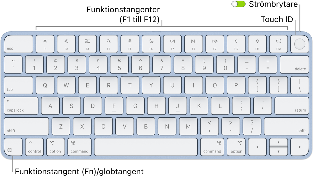 Magic Keyboard med Touch ID där raden med funktionstangenter och Touch ID visas längs överkanten och funktions (Fn)-/globtangenten i det nedre vänstra hörnet.