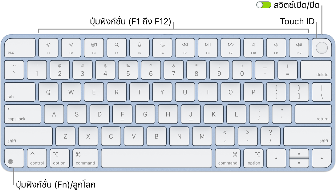 Magic Keyboard ที่มี Touch ID ที่แสดงแถวของปุ่มฟังก์ชั่นและ Touch ID ตลอดแนวด้านบนสุด และปุ่มฟังก์ชั่น (Fn)/ลูกโลกตรงมุมซ้ายล่าง