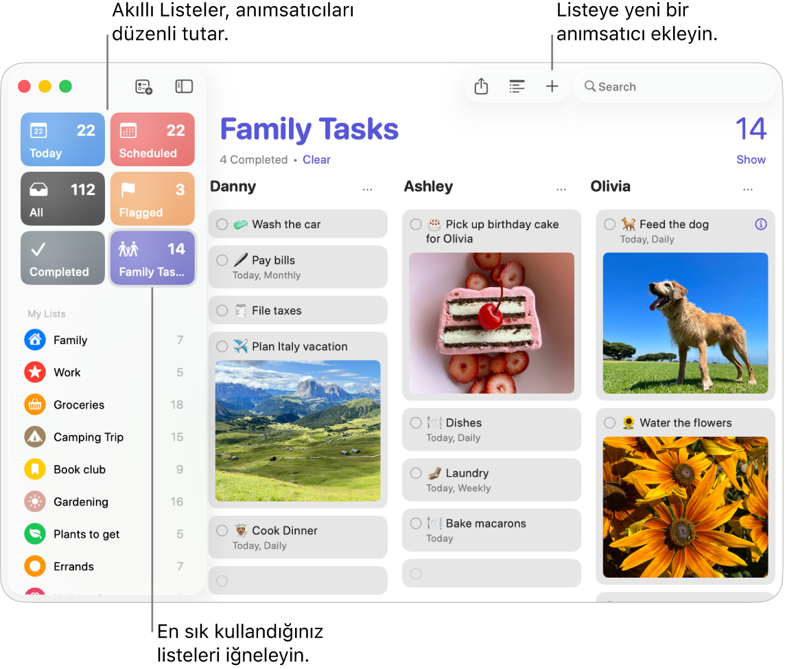 Sol tarafta akıllı listelerin, sağ tarafta ise diğer anımsatıcıların ve listelerin göründüğü bir Anımsatıcılar penceresi.