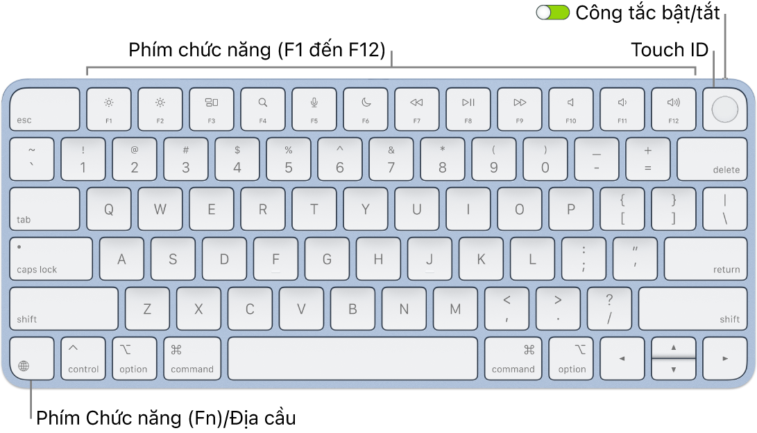 Magic Keyboard có Touch ID đang hiển thị hàng các phím chức năng, Touch ID ở trên cùng và phím Chức năng (Fn)/Địa cầu ở góc phía dưới bên trái.