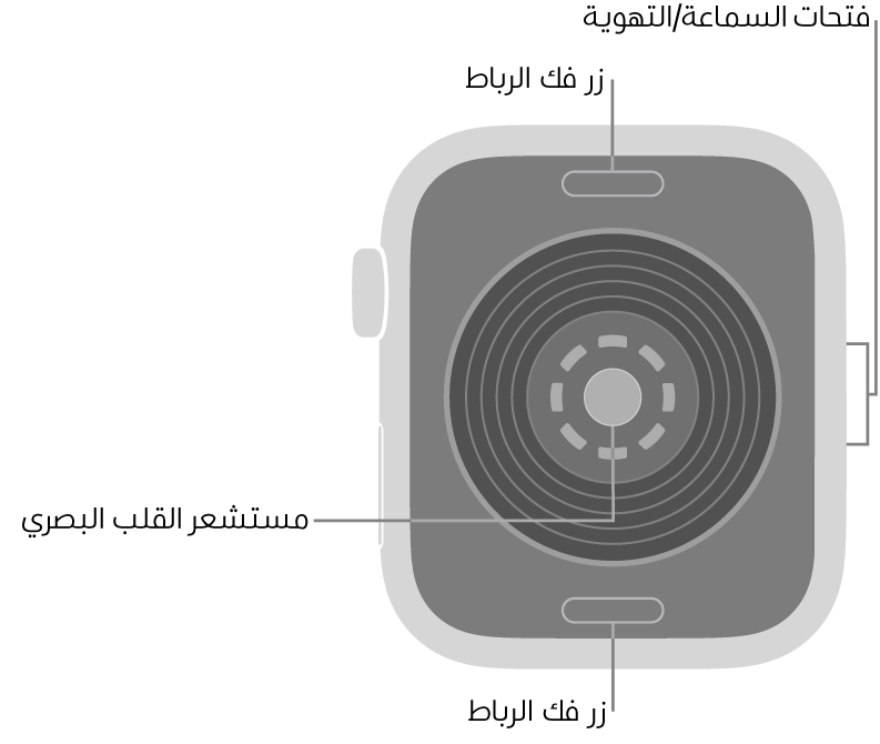 الجزء الخلفي من Apple Watch SE 3 ويظهر به زرا تعديل الرباط في الأعلى والأسفل ومستشعر نبض القلب الكهربائي في المنتصف وفتحات السماعة/التهوية على الجانب.