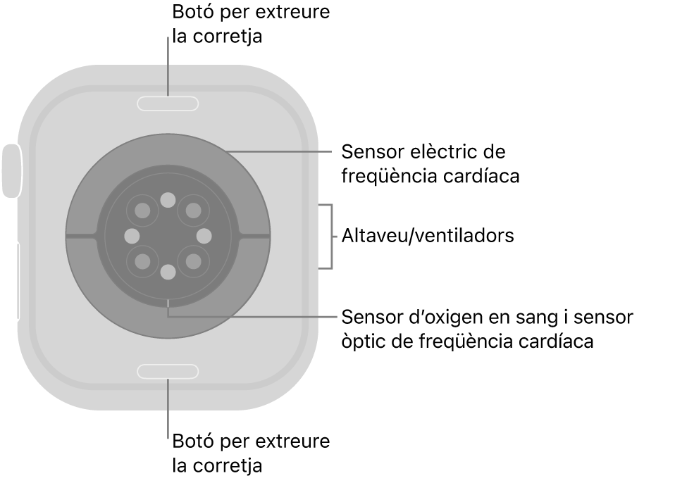 La part de darrere de l’Apple Watch Series 10 mostra els botons per obrir la corretja a dalt i a baix; els sensors elèctrics cardíacs, els sensors òptics cardíacs i els sensors d’oxigen en sang al mig, i l’altaveu i les sortides de ventilació a la part lateral del rellotge.