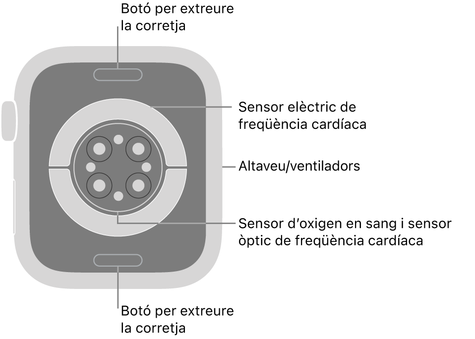La part de darrere de l’Apple Watch Series 9 mostra els botons per obrir la corretja a dalt i a baix; els sensors elèctrics cardíacs, els sensors òptics cardíacs i els sensors d’oxigen en sang al mig, i l’altaveu i les sortides de ventilació a la part lateral del rellotge.
