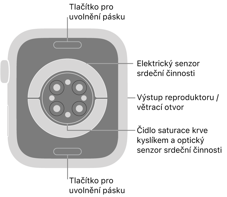 Zadní strana hodinek Apple Watch Series 9: nahoře a dole jsou tlačítka pro uvolnění řemínku, uprostřed elektrická čidla srdeční činnosti, optická čidla srdeční činnosti a čidla pro měření hladiny kyslíku v krvi a na boku je reproduktor a větrací otvor.
