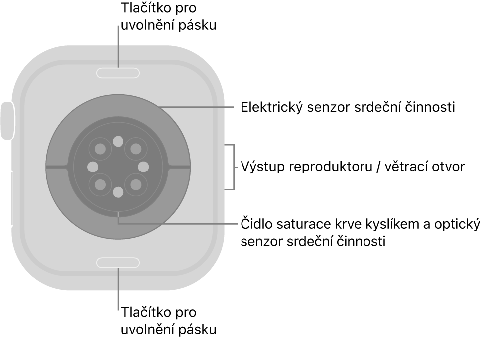 Zadní strana Apple Watch Series 10. Nahoře a dole tlačítka pro uvolnění řemínku, uprostřed elektrická čidla srdeční činnosti, optická čidla srdeční činnosti a čidla pro měření hladiny kyslíku v krvi, na boku pak reproduktor a větrací otvory.