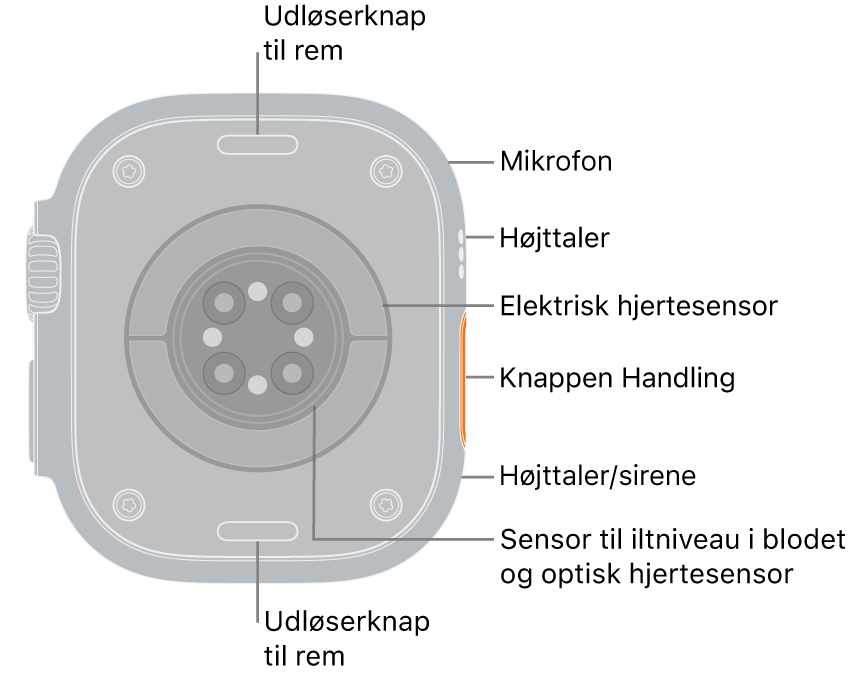 Bagsiden af Apple Watch Ultra 3 med udløserknapperne til remmen foroven og forneden. På siden er der en mikrofon, en højttaler, den elektriske hjertesensor, handlingsknappen, en højttalerport, som sirenen udsender lyd fra, sensorerne til iltniveau i blodet og de optiske pulsmålere.